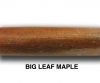 big-leaf-maple