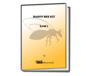038 Activity workbook for kids on mason bees