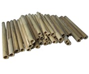910.25 Phragmites Reeds